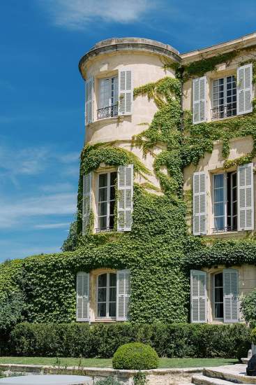 vignoble